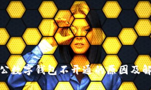 建行对公数字钱包不开通的原因及解决方案