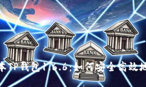 : 下载最新版本TP钱包1.6.6：如何安全高效地获得加密钱包