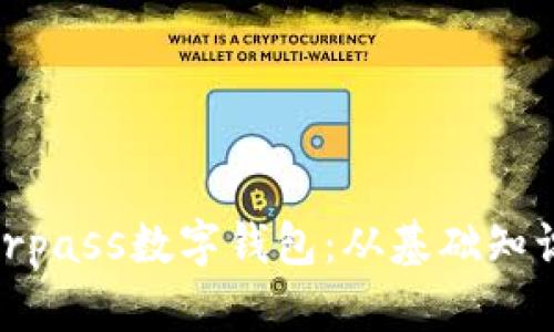  探秘Masterpass数字钱包：从基础知识到使用技巧