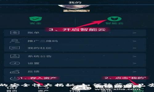 数字钱包的安全性大揭秘：如何防范常见套路和陷阱