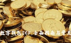 如何开通数字钱包ICP：全