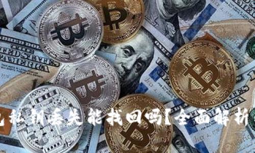 区块链钱包私钥丢失能找回吗？全面解析与预防措施