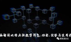 全面解析比特大陆数字钱