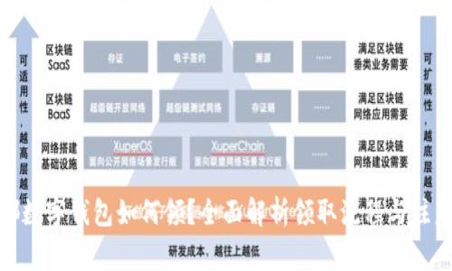 : 成都数字钱包如何领？全面解析领取流程与注意事项