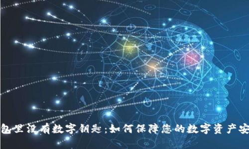 钱包里没有数字钥匙：如何保障您的数字资产安全
