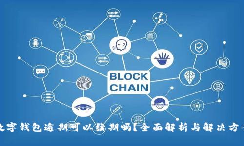 数字钱包逾期可以续期吗？全面解析与解决方案