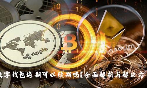 数字钱包逾期可以续期吗？全面解析与解决方案