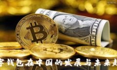  数字钱包在中国的发展与