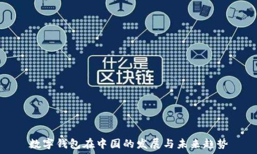  
数字钱包在中国的发展与未来趋势