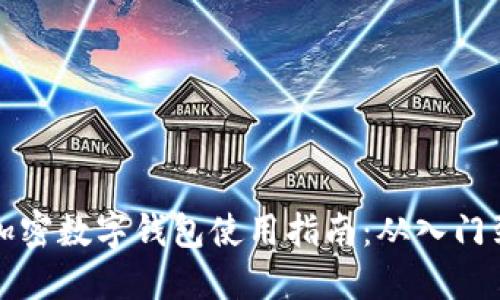 苹果加密数字钱包使用指南：从入门到精通