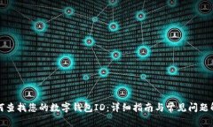 如何查找您的数字钱包I