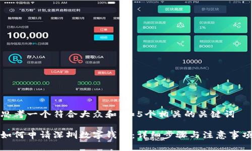 思考一个符合大众和，和5个相关的关键词

如何申请深圳数字钱包：详细步骤与注意事项