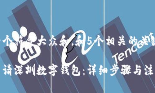 思考一个符合大众和，和5个相关的关键词

如何申请深圳数字钱包：详细步骤与注意事项