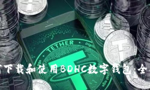 : 如何下载和使用BDHC数字钱包：全面指南