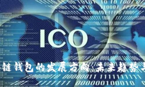  区块链钱包的发展方向：未来趋势与挑战