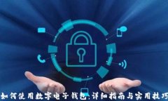 如何使用数字电子钱包：