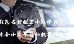 数字钱包名称推荐小众平