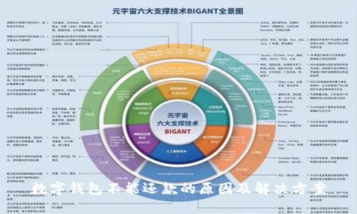 数字钱包不能还款的原因及解决方案