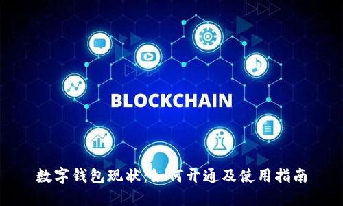 数字钱包现状：如何开通及使用指南