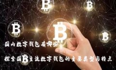 国内数字钱包有哪些探索