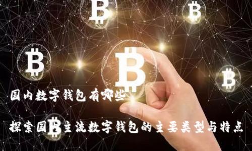 国内数字钱包有哪些

探索国内主流数字钱包的主要类型与特点