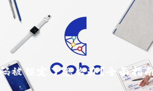 数字钱包密码被锁定了怎么办？全面指南与解决方案