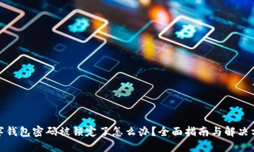 数字钱包密码被锁定了怎么办？全面指南与解决方案
