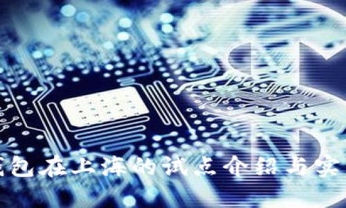 数字钱包在上海的试点介绍与实用指南