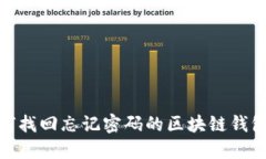 : 如何找回忘记密码的区块