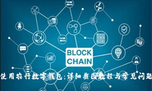 如何使用农行数字钱包：详细截图教程与常见问题解答