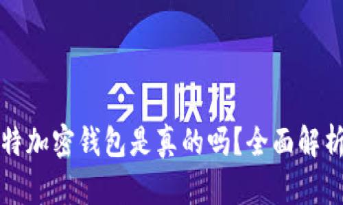: 马斯克推特加密钱包是真的吗?全面解析与未来展望
