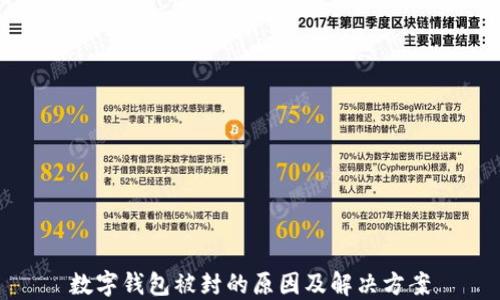 
数字钱包被封的原因及解决方案