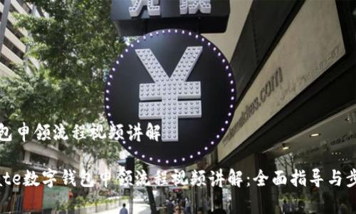 数字钱包申领流程视频讲解

samplate数字钱包申领流程视频讲解：全面指导与步骤解析