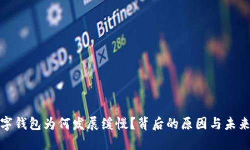 : 数字钱包为何发展缓慢？背后的原因与未来展望