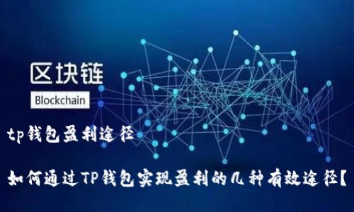 tp钱包盈利途径

如何通过TP钱包实现盈利的几种有效途径？