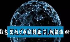 TP钱包里的U币被转走了，