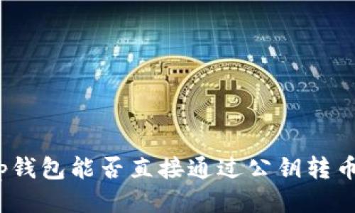 tp钱包能否直接通过公钥转币？